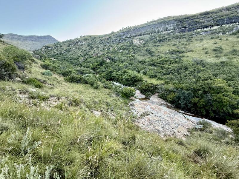 0 Bedroom Property for Sale in Fouriesburg Free State